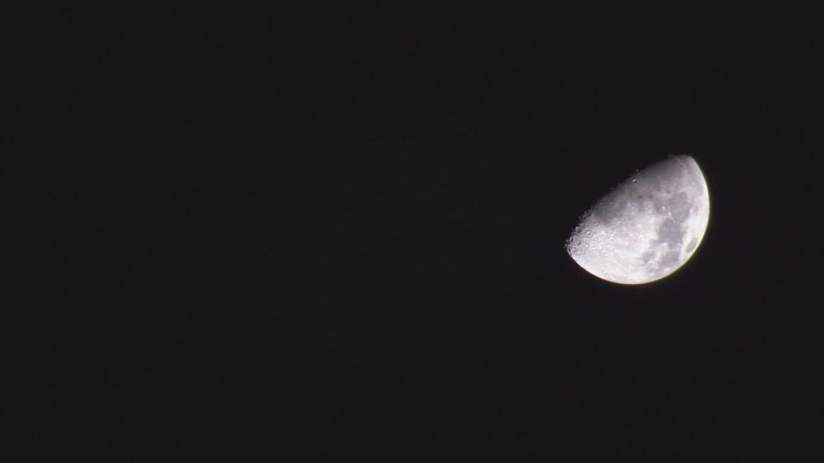 Scientists at the University of Arizona have proposed a lunar ark as a global insurance policy....
