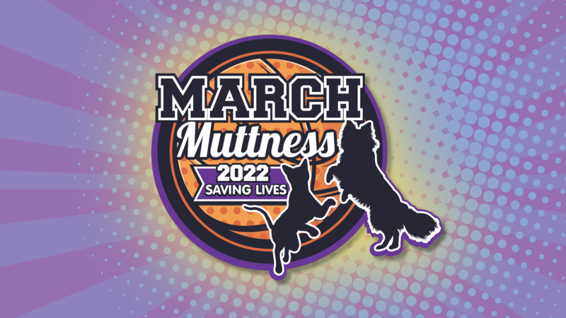March Muttness has brought in nearly $225,000 for animals across the country.