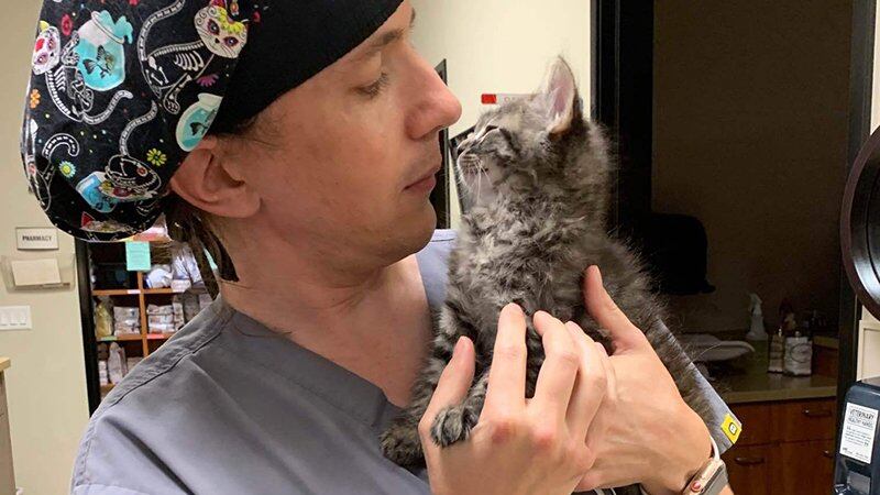 Working with animals is immensely rewarding for Jason Sweitzer and other veterinarians, but...