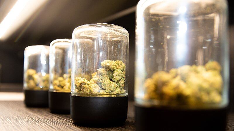 Dr. Amy Wagner, a naturopathic physician in Phoenix, says cannabis "helps with the PTSD. I've...