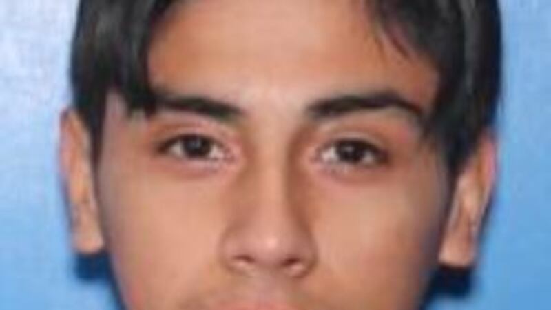 Suspect in Prince Road homicide, 21-year-old Bryan Guzman Hernandez. (Source: Tucson Police...