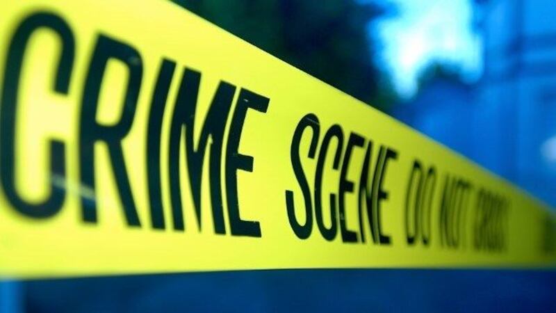 Authorities are looking for the driver who hit and killed a pedestrian near South 6th Avenue...