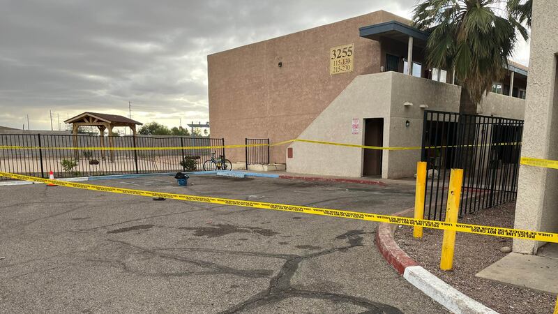 At least one person was shot at the Wilmot Vista Apartments, located near Wilmot and Stella...