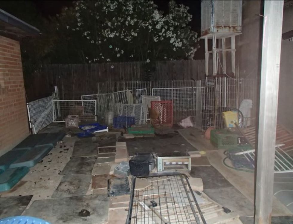 PACC investigators said the dogs were being bred and sold at a home near South Swan Road and...