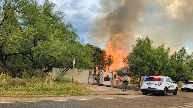 At least 30 palm trees burned at Agua Caliente Park in Tucson on Wednesday, Sept. 28.
