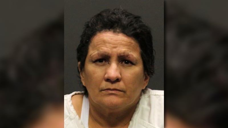 Guadalupe Solis was arrested for the hit-and-run death of Lydia Reis, known as the "Umbrella...