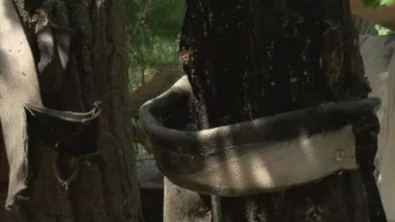 The Tucson Police Department said it has investigated the abandoned camp in Tucson and said...